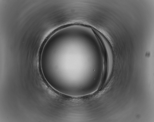 X0000091330888200708171348