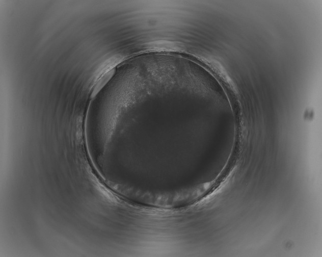 X0000091330889200708171348