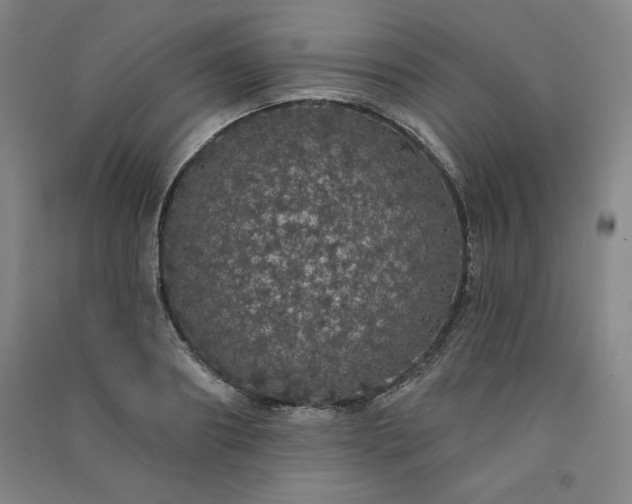 X0000091330890200708171348