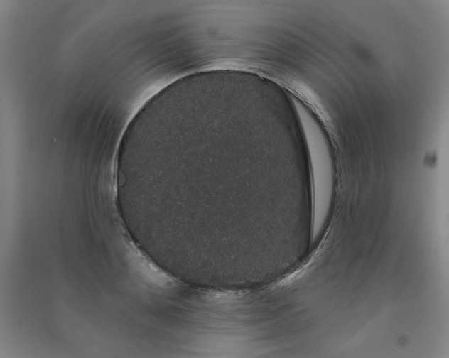 X0000091330892200708171348