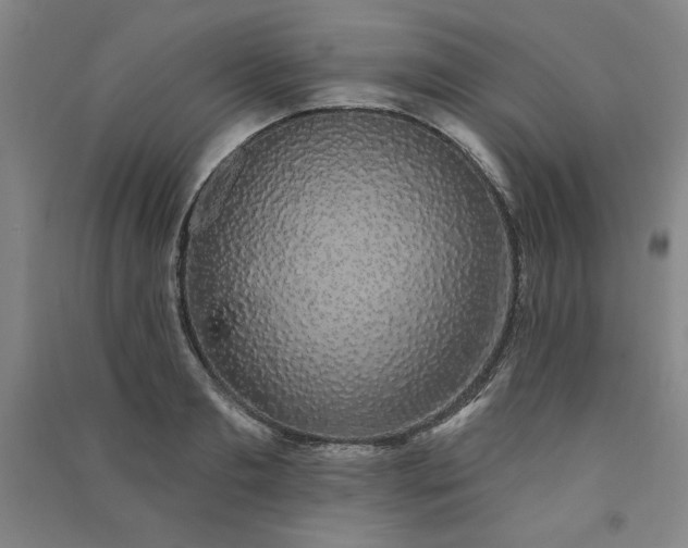 X0000091330893200708171348