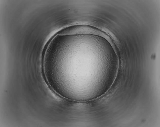 X0000091330894200708171348