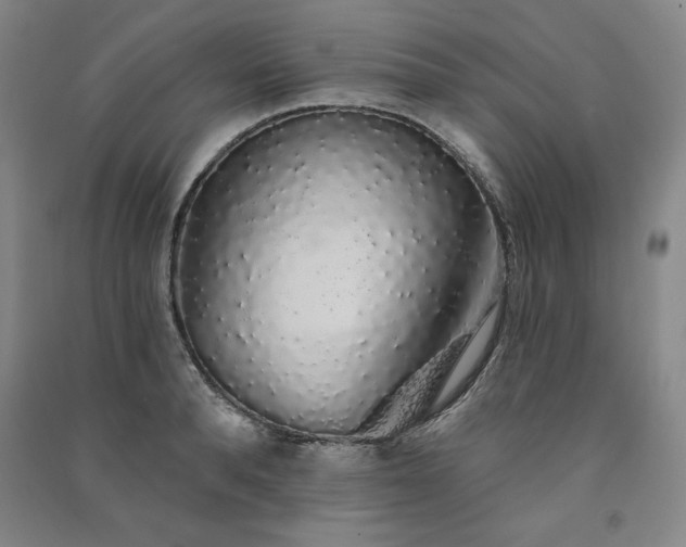 X0000091330896200708171348