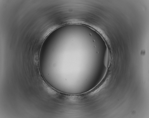 X0000091330897200708171348