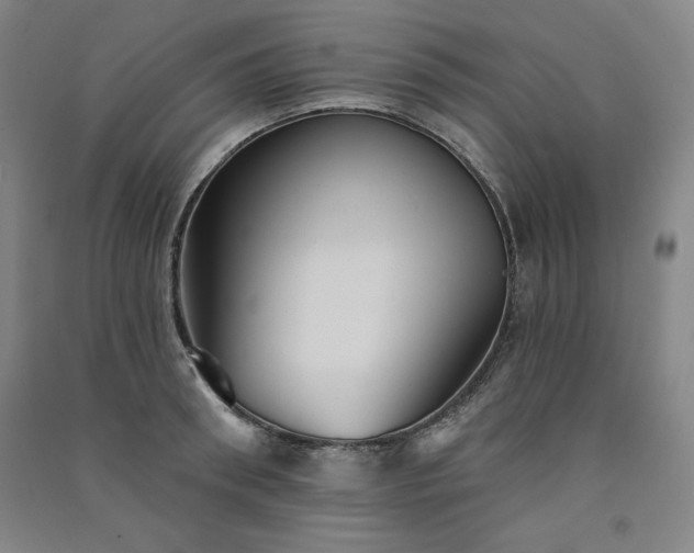 X0000091330898200708171348