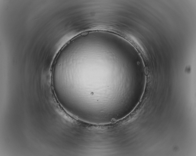 X0000091330900200708171348