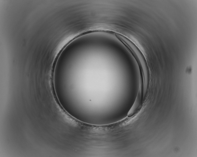 X0000091330901200708171348