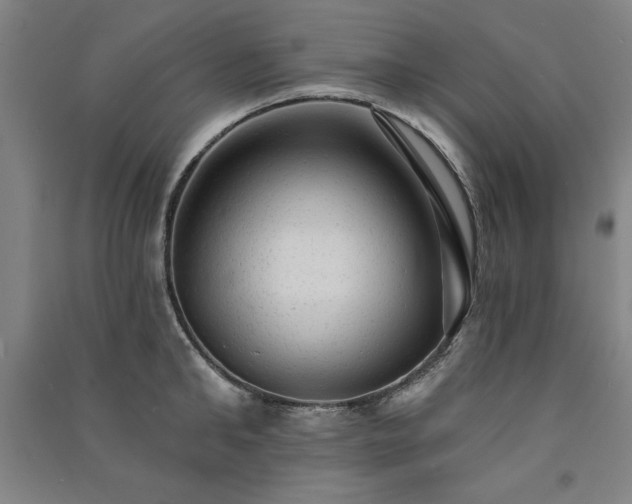 X0000091330902200708171348