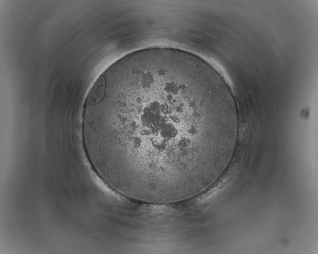 X0000091330903200708171348