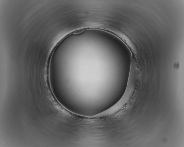 X0000091330904200708171348