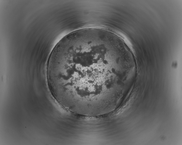 X0000091330907200708171348