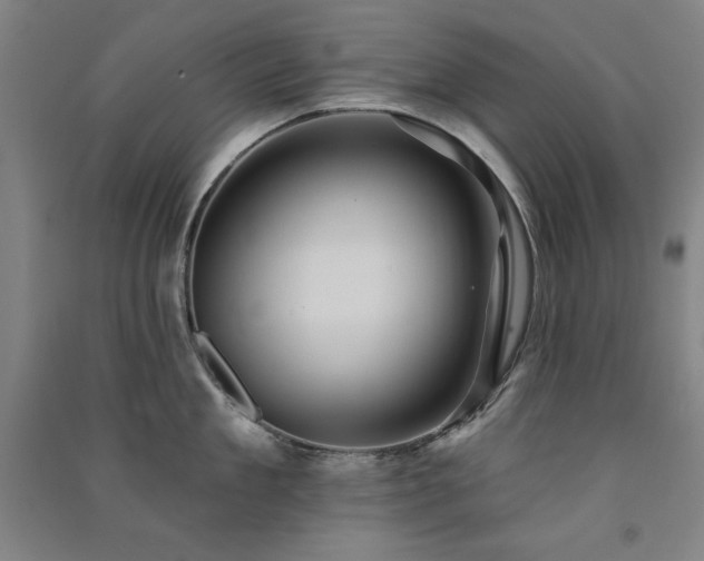 X0000091330909200708171348