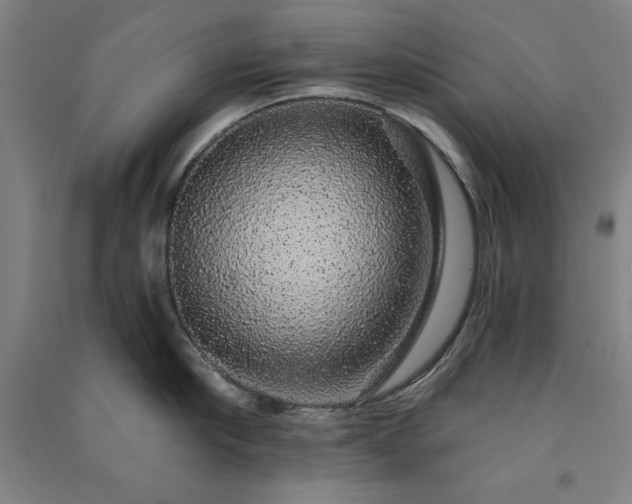 X0000091330910200708171348