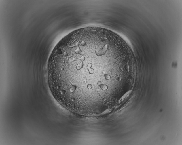 X0000091330911200708171348