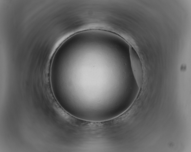 X0000091330912200708171348