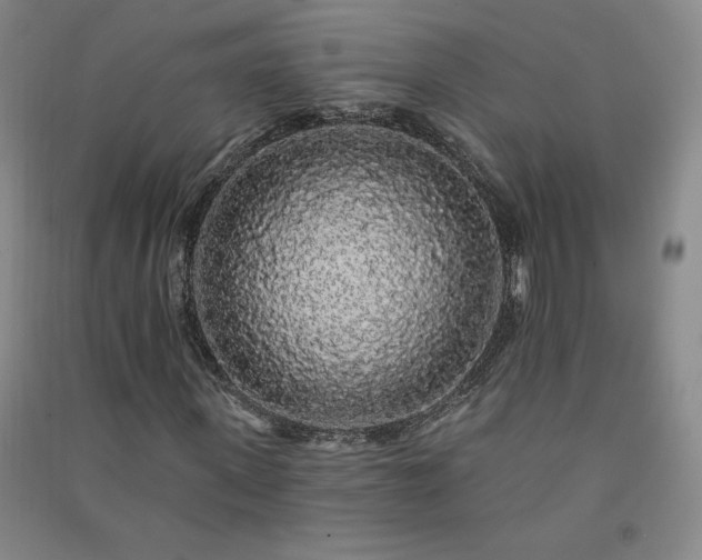 X0000091330915200708171348