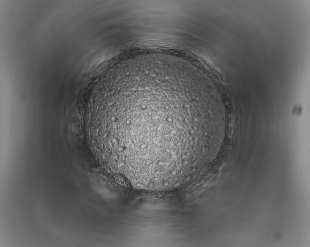 X0000091330917200708171348