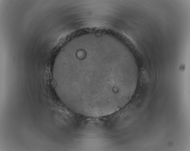 X0000091330918200708171348