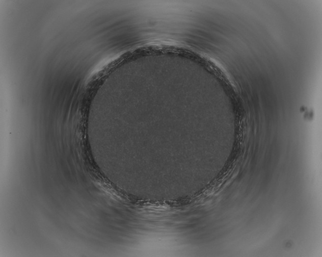 X0000091330919200708171348