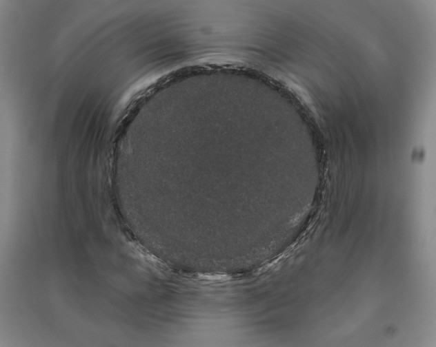 X0000091330920200708171348