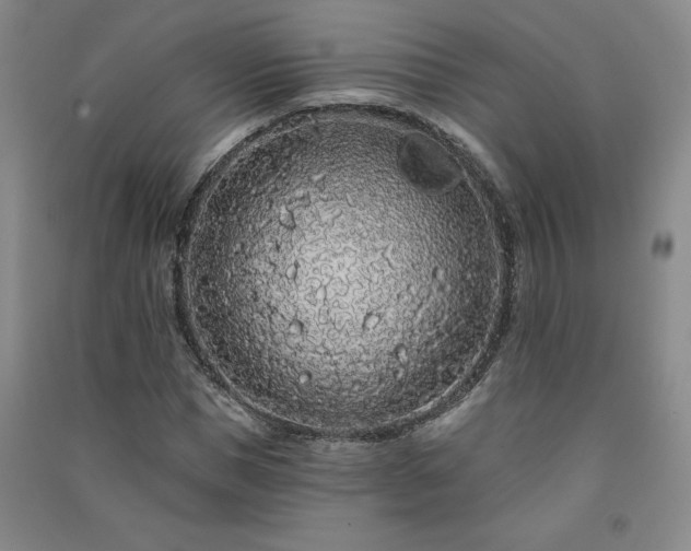 X0000091330921200708171348