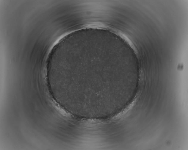 X0000091330923200708171348