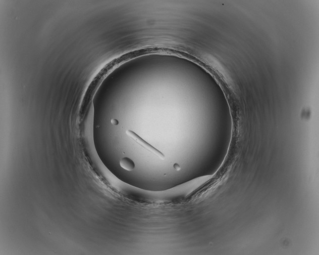 X0000091330924200708171348