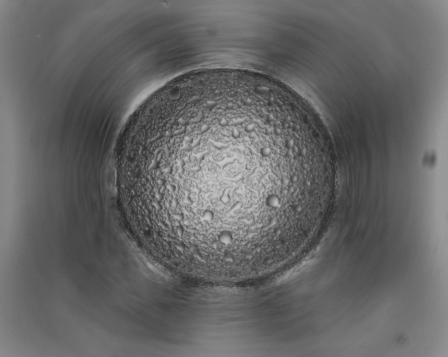 X0000091330925200708171348