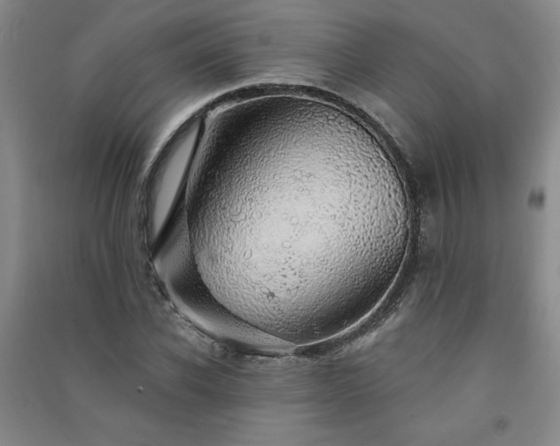 X0000091330926200708171348