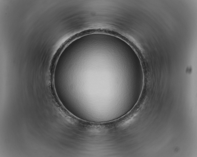 X0000091330927200708171348