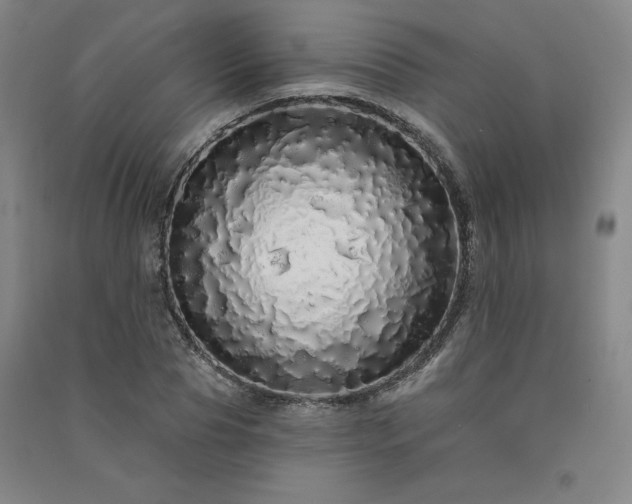 X0000091330929200708171348