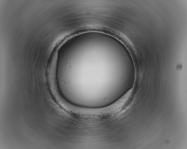 X0000091330930200708171348