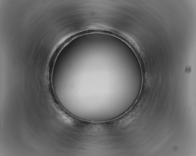 X0000091330931200708171348