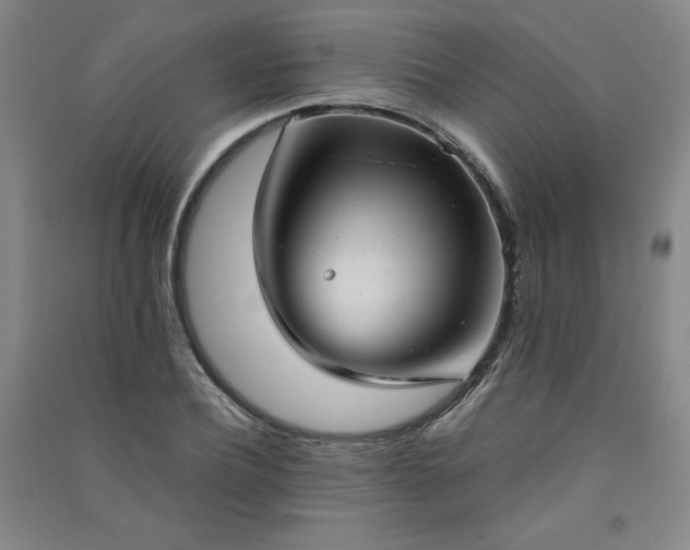 X0000091330932200708171348