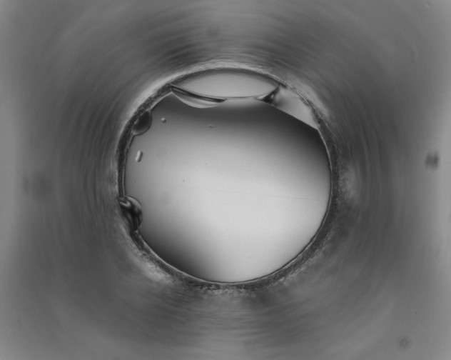 X0000091330934200708171348