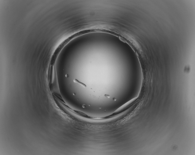 X0000091330936200708171348