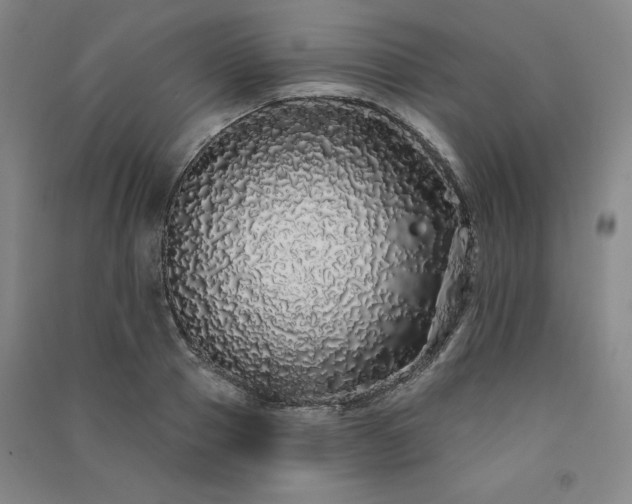 X0000091330937200708171348