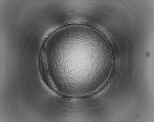 X0000091330938200708171348