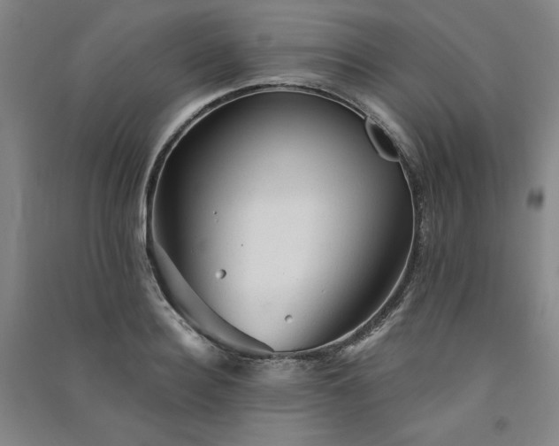 X0000091330940200708171348