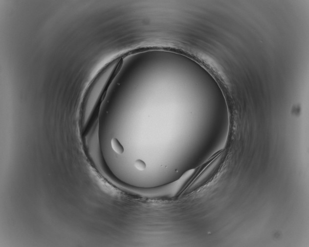 X0000091330942200708171348