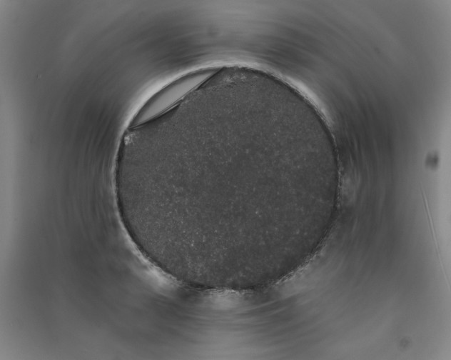 X0000091330943200708171348