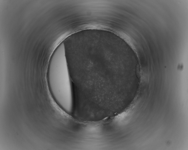 X0000091330946200708171348