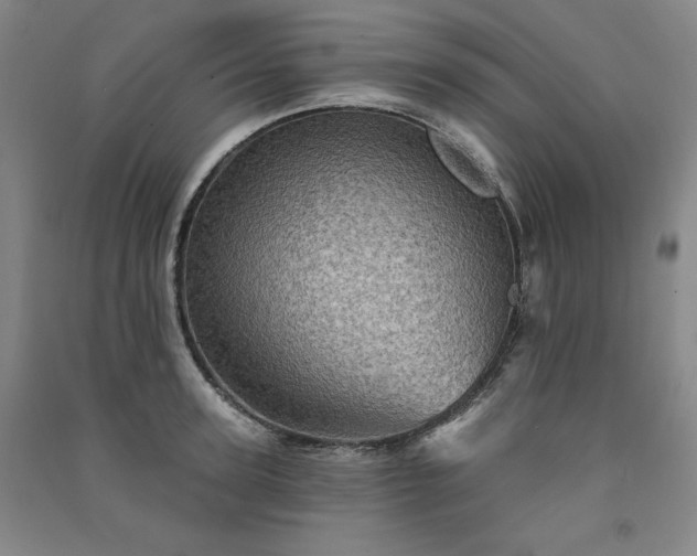 X0000091330947200708171348