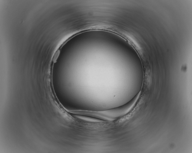 X0000091330948200708171348