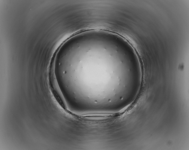 X0000091330949200708171348