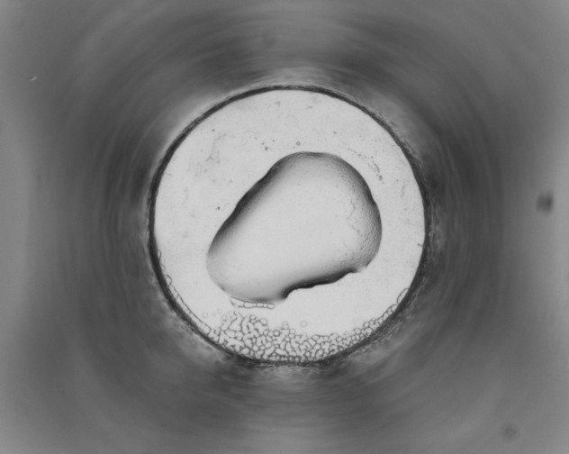 X0000091330950200708171348