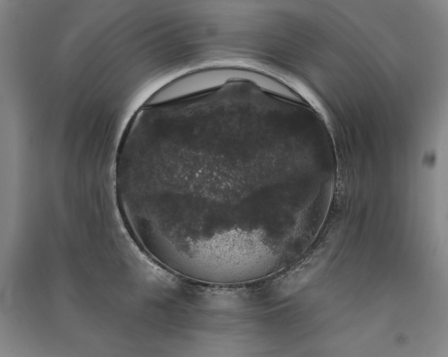 X0000091330951200708171348