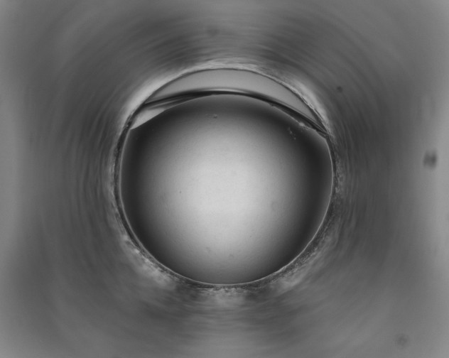 X0000091330952200708171348