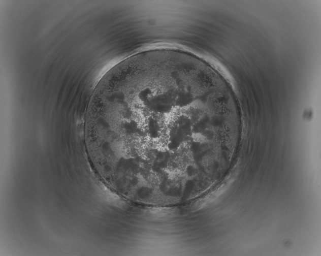 X0000091330953200708171348