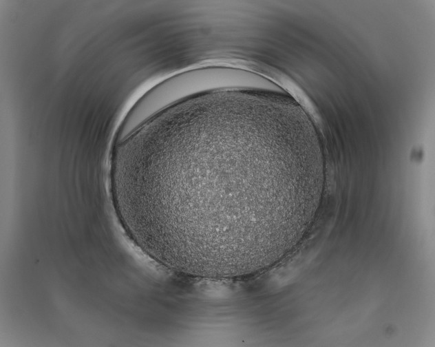 X0000091330955200708171348